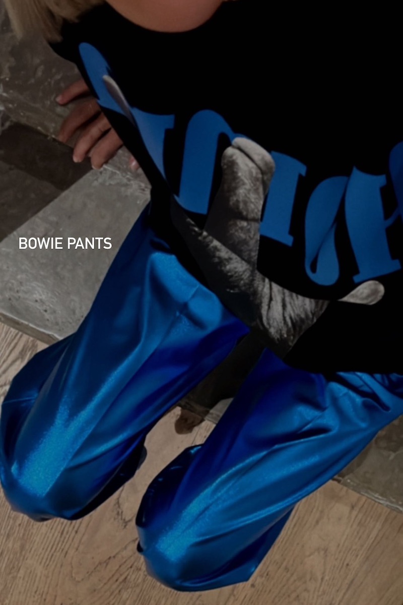 BOWIE PANTS